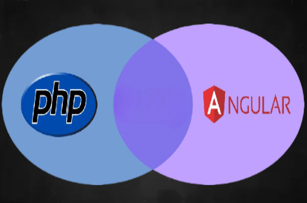 PHP WITH ANGULAR Training Institute in Noida